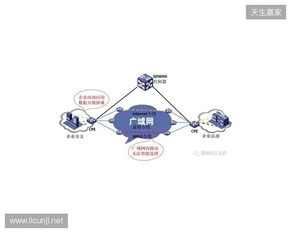 贝锐蒲公英游戏联机方案深度测评:2025年SD-WAN技术如何重新定义跨平台游戏体验 贝锐蒲公英游戏联机方案深度测评:2025年SD-WAN技术如何重新定义跨平台游戏体验